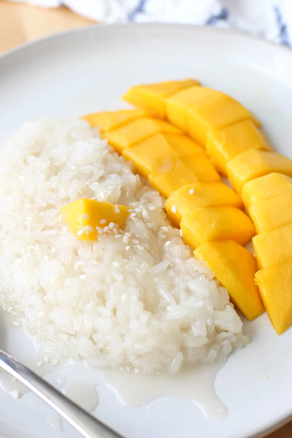 Thai Recipes From My Kitchen: Sticky Rice or Glutinous Rice