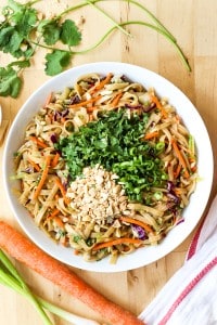 Thai Noodle Bowl (SO EASY!) - Joyous Apron