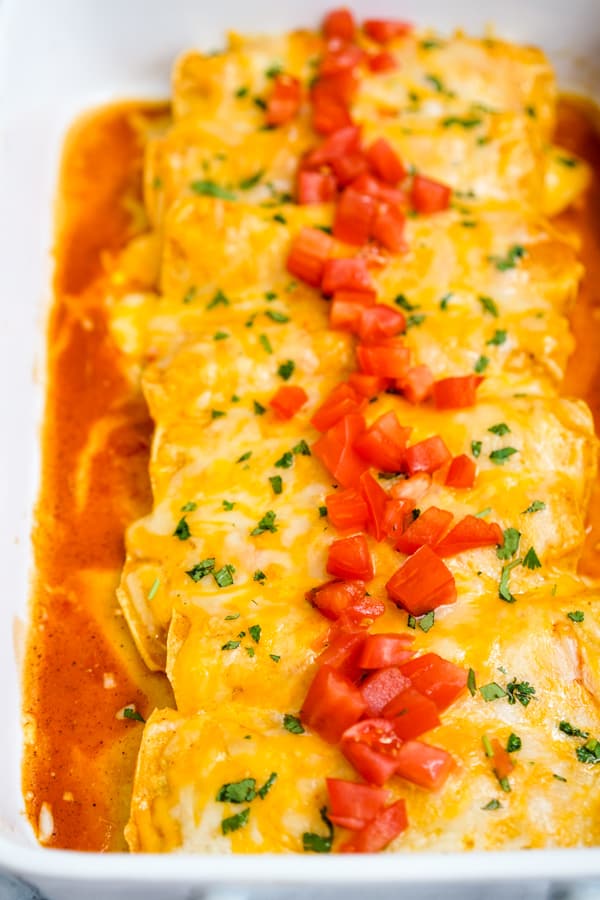 Chicken Enchilada cooked in an Instant Pot topped with cheese, tomatoes and cilantro