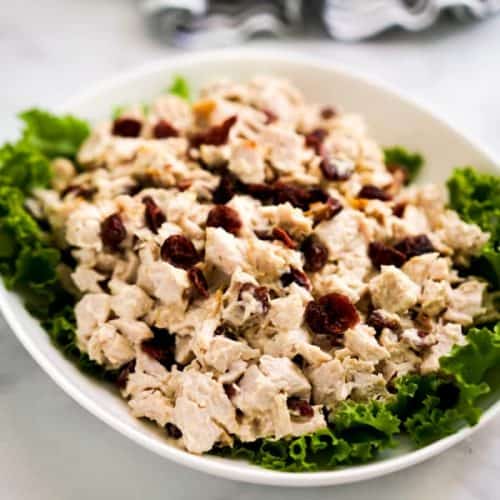 Turkey Cranberry Salad (with leftover turkey) - Joyous Apron