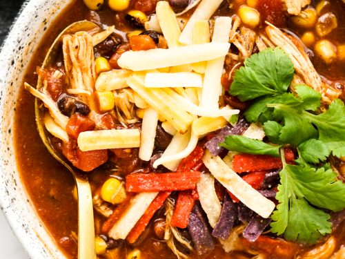 https://www.joyousapron.com/wp-content/uploads/2022/01/slow-cooker-chicken-taco-soup-sq-pic-500x375.jpg