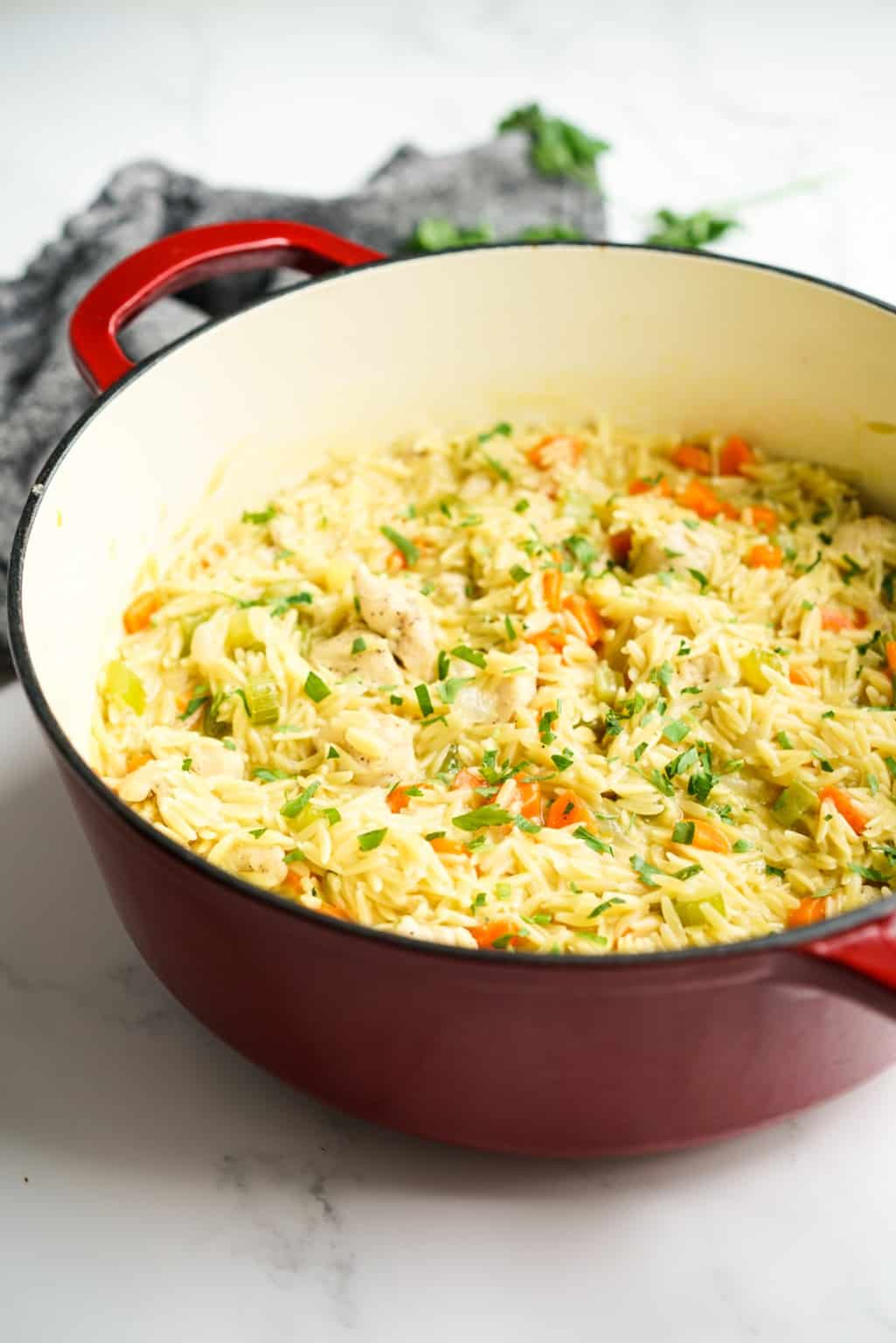 Chicken and Orzo (Easy One-Pot Meal) - Joyous Apron