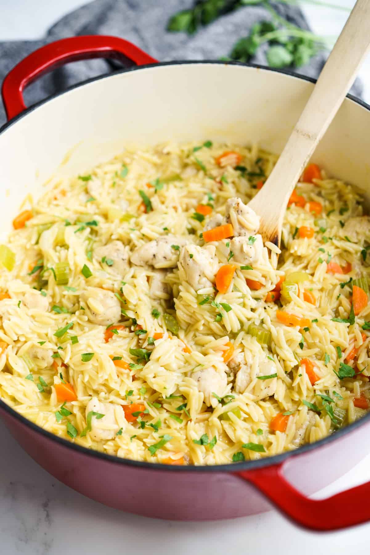 Chicken and Orzo (Easy One-Pot Meal) - Joyous Apron