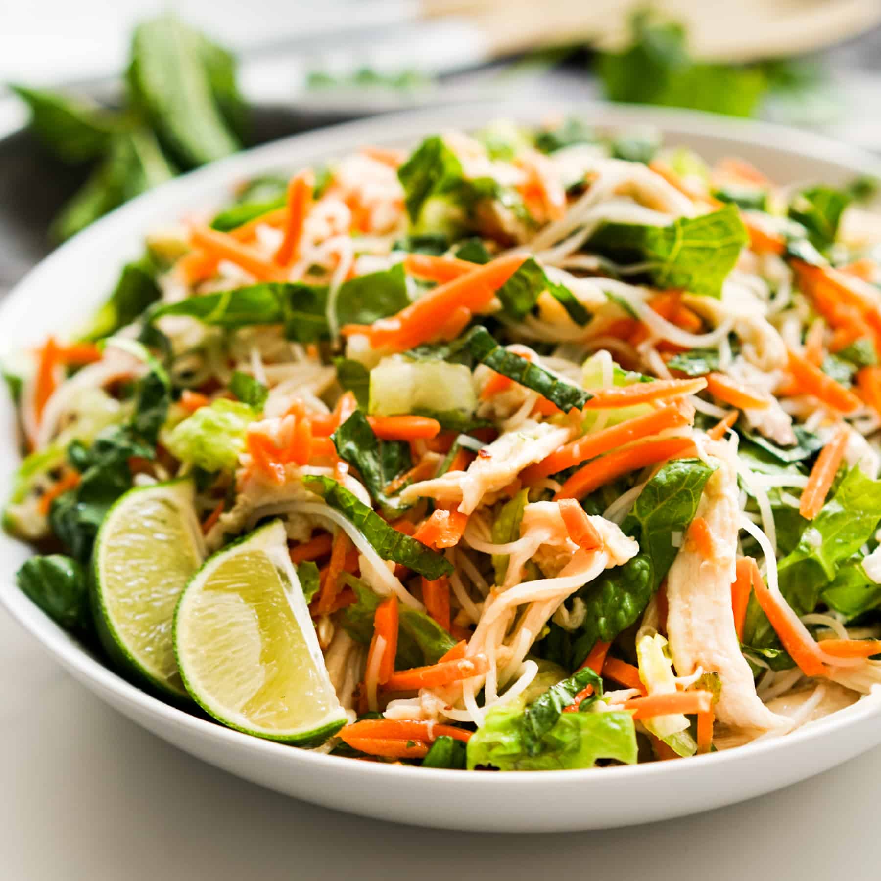 Fresh Vietnamese Salad Bowls