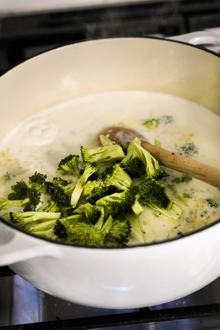 Chicken Broccoli Cheddar Soup - Joyous Apron