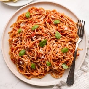 A plate of spaghetti tossed in pomodoro sauce, with a fork on the side