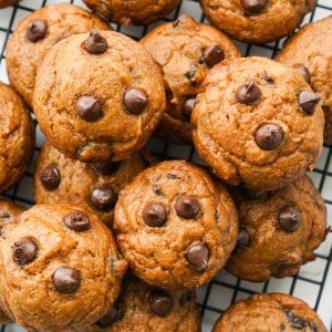 Close up of a bunch of pumpkin chocolate chip muffins